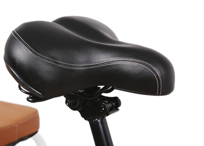 NAKTO Pony Utility Electric Bike with Basket & Rear Passenger Seat