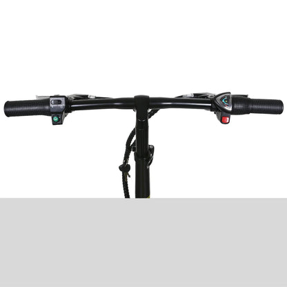 NAKTO Skylark Folding Fat Tire Electric Bike